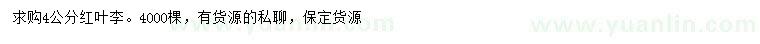 求購4公分紅葉李