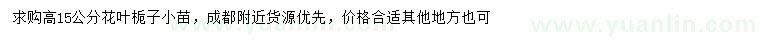 求購高15公分花葉梔子小苗