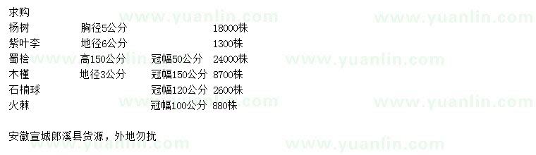 求購楊樹、紫葉李、蜀檜等