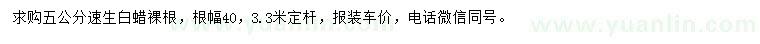 求購5公分速生白蠟