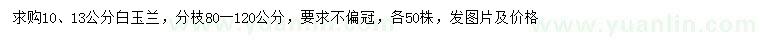 求購10、13公分白玉蘭