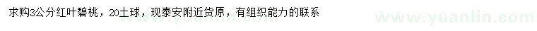 求購(gòu)3公分紅葉碧桃