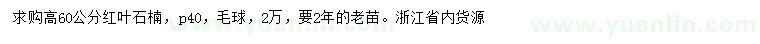 求購高60公分紅葉石楠