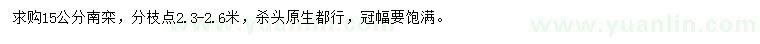 求購15公分南欒