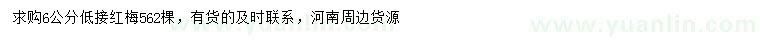 求購(gòu)6公分低接紅梅