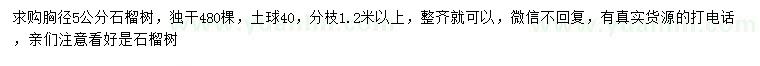 求購(gòu)胸徑5公分石榴樹