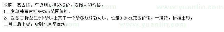 求購8-30公分蒙古櫟