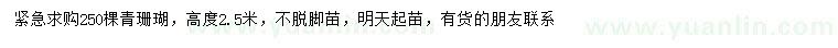 求購高2.5米青珊瑚