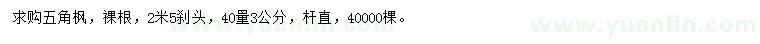 求購40量3公分五角楓