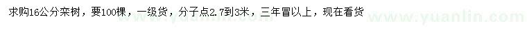 求購16公分欒樹