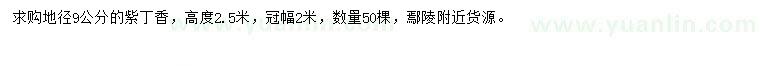 求購地徑9公分紫丁香