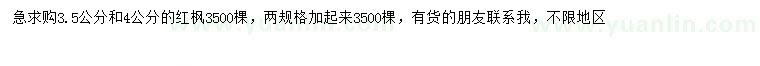 求購3.5、4公分紅楓