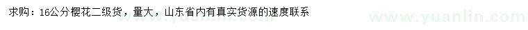 求購16公分櫻花
