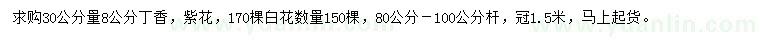 求購(gòu)30公分量8公分丁香