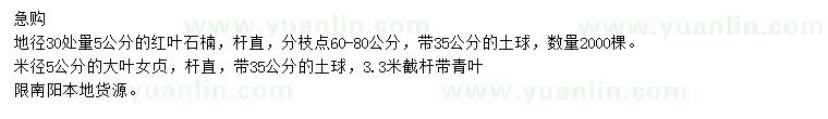求購地徑30處量5公分紅葉石楠、米徑5公分大葉女貞