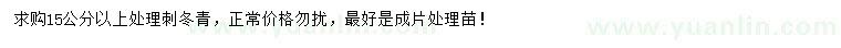 求購15公分以上刺冬青