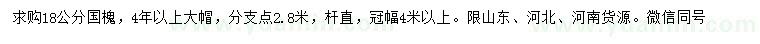 求購18公分國槐
