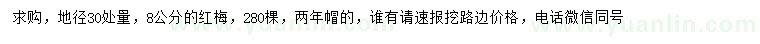 求購30量8公分紅梅