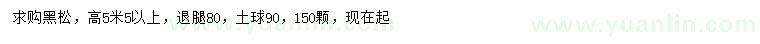 求購高5.5米以上黑松