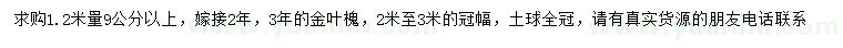 求購(gòu)1.2米量9公分以上金葉槐