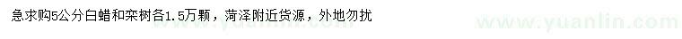求購5公分白蠟、欒樹