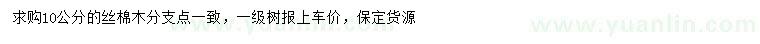 求購10公分絲棉木
