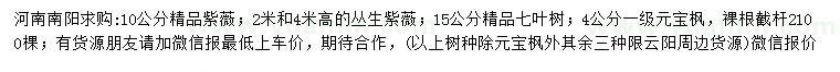 求購精品紫薇、叢生紫薇、精品七葉樹等
