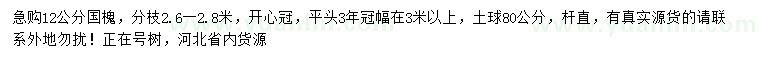 求購12公分國槐