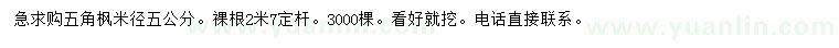 求購米徑5公分五角楓