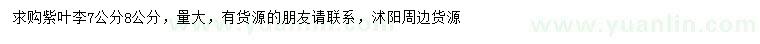 求購(gòu)7、8公分紫葉李