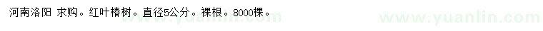求購(gòu)直徑5公分紅葉椿樹(shù)