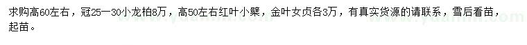 求購小龍柏、紅葉小檗、金葉女貞