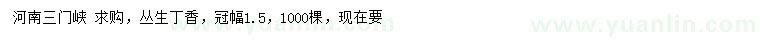 求購(gòu)冠幅1.5米叢生丁香