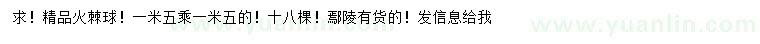 求購1.5*1.5米精品火棘球
