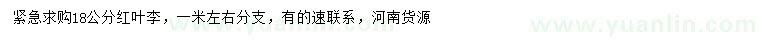 求購18公分紅葉李
