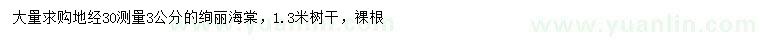 求購(gòu)地徑30量3公分絢麗海棠