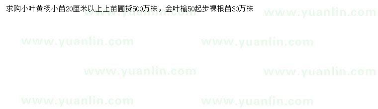 求購20公分以上小葉黃楊、50公分起步金葉榆