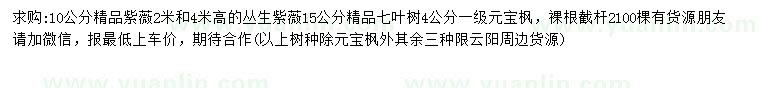 求購(gòu)精品紫薇、叢生紫薇、七葉樹(shù)等