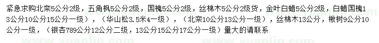 求購北欒、五角楓、國槐等