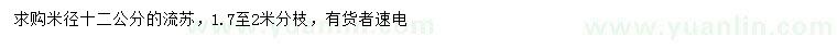 求購米徑12公分流蘇