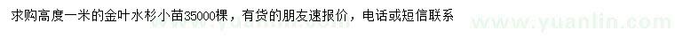 求購高度1米金葉水杉
