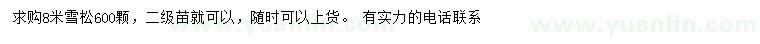 求購8米雪松