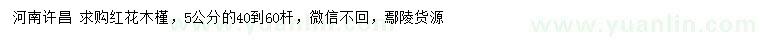 求購5公分紅花木槿