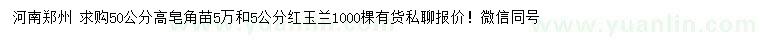 求購高50公分皂角苗、5公分紅玉蘭