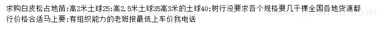 求購(gòu)高2、2.5米白皮松