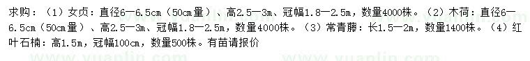 求購女貞、木荷、常青藤等