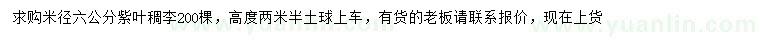 求購米徑6公分紫葉稠李
