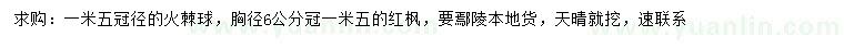 求購冠徑1.5米火棘球、胸徑6公分紅楓