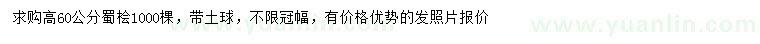 求購高60公分蜀檜