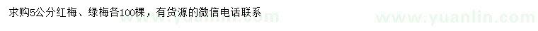 求購5公分紅梅、綠梅